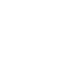 rugged roots